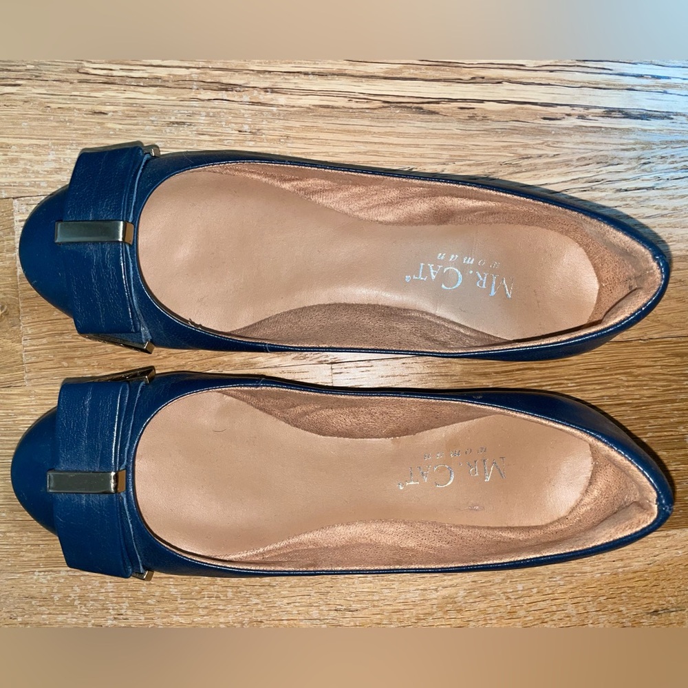 Navy blue ballet shoes